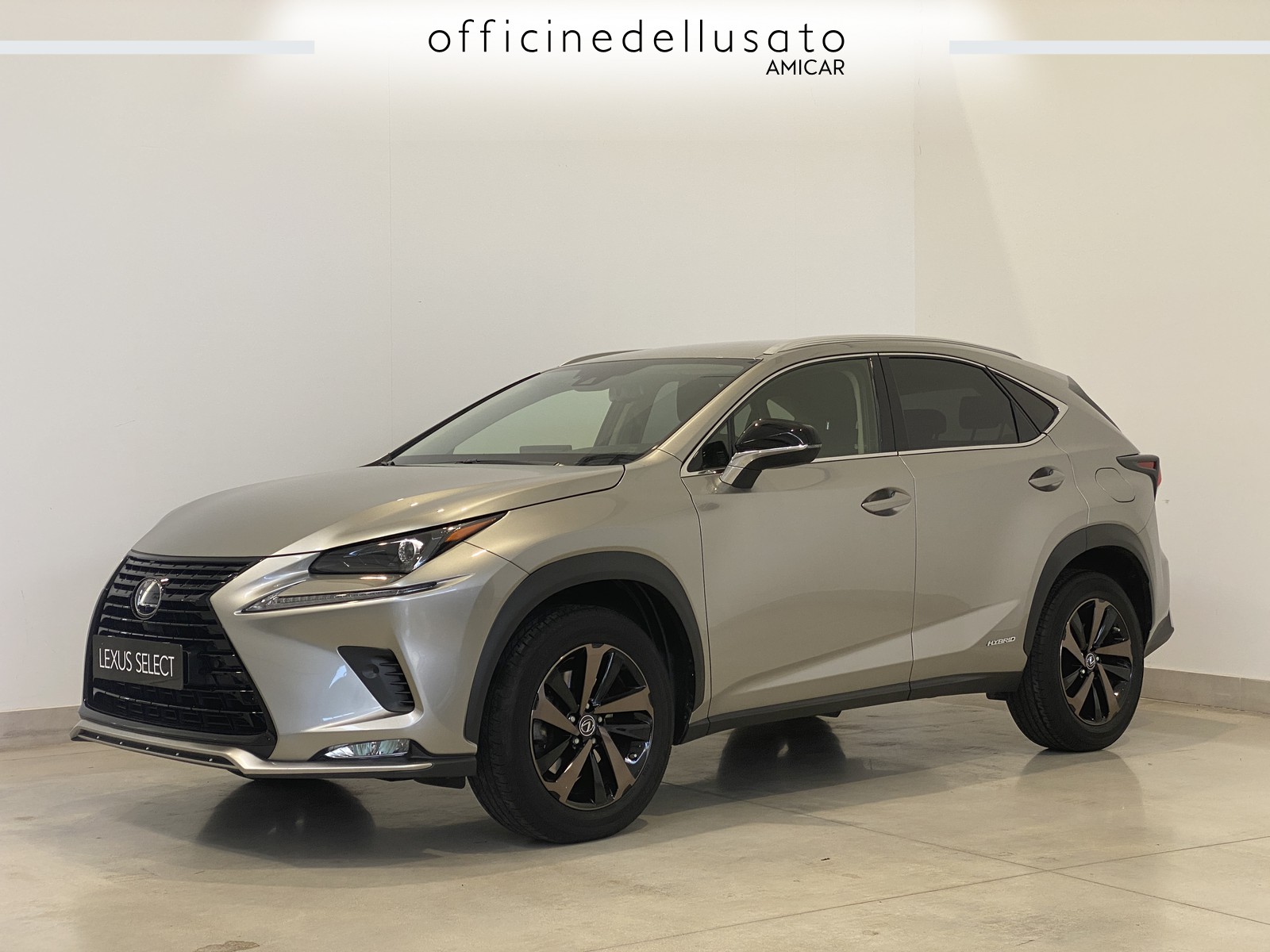 NX 300 2.5 hybrid premium 4wd cvt