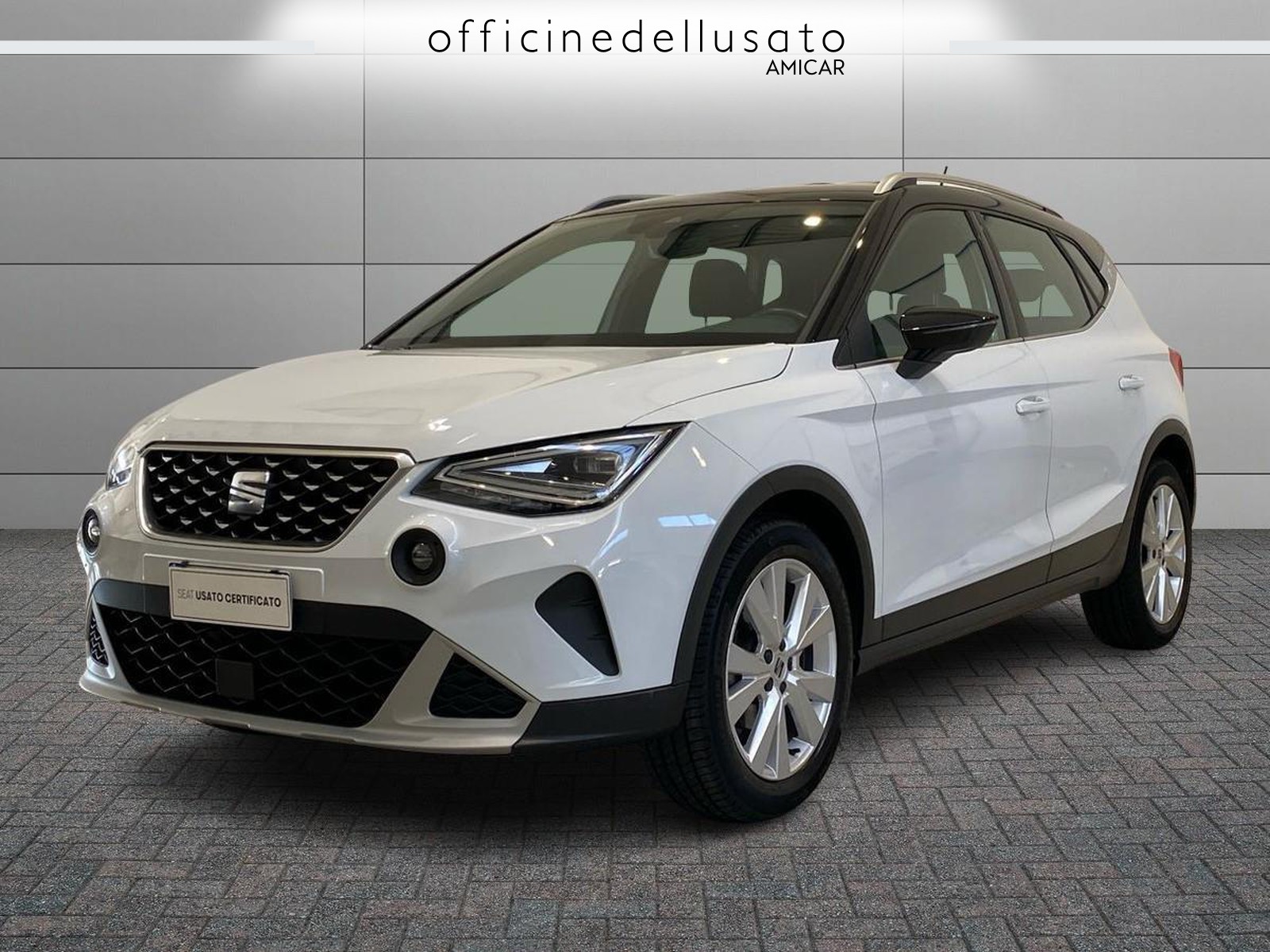 Arona 1.0 ecotsi 95cv xperience